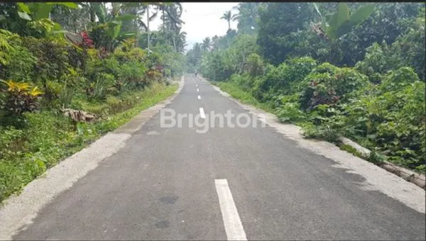image TANAH 1,2 HEKTAR DENGAN MATA AIR ALAMI YG MELIMPAH DI KAWASAN PENEBEL TABANAN BALI (1)