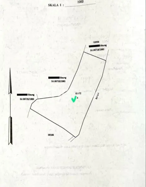 image TANAH 1,2 HEKTAR DENGAN MATA AIR ALAMI YG MELIMPAH DI KAWASAN PENEBEL TABANAN BALI (8)