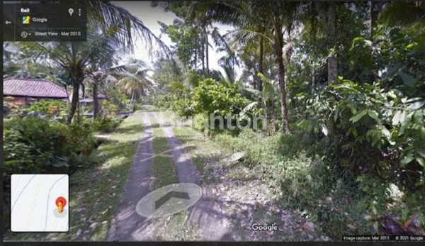 image TANAH 1,2 HEKTAR DENGAN MATA AIR ALAMI YG MELIMPAH DI KAWASAN PENEBEL TABANAN BALI (6)