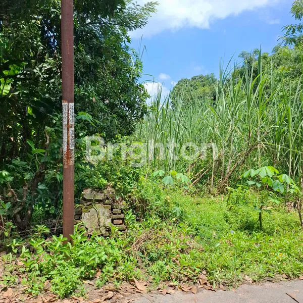 image TANAH LUAS 655M² DI MAGETAN, SHM, HARGA NEGO (2)