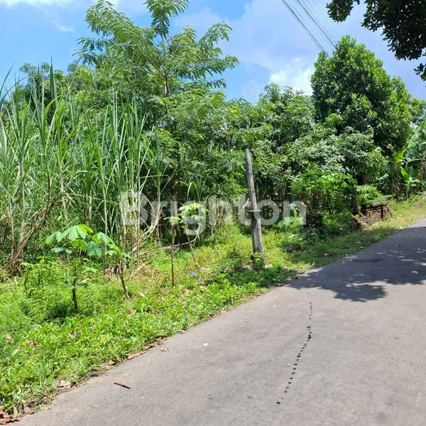 image TANAH LUAS 655M² DI MAGETAN, SHM, HARGA NEGO (1)