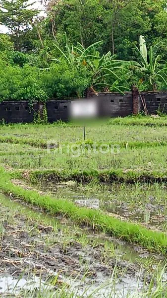 image TANAH STRATEGIS DI CANGGU, DEKAT FINS & ATLAS BEACH (1)