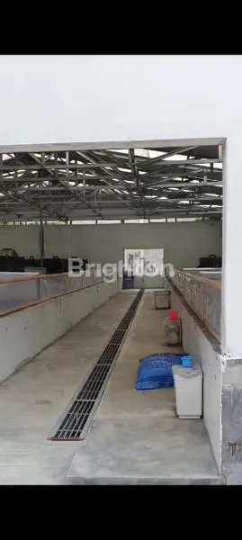 image JUAL TANAH DAN BANGUNAN JLN SULTAN SERDANG TANJUNG MORAWA  (5)