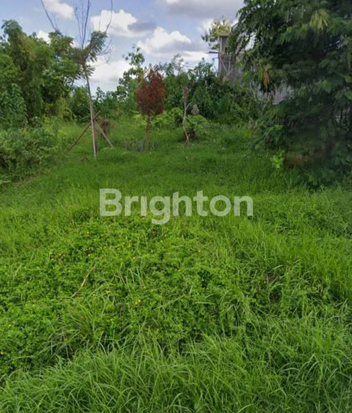 image TANAH STRATEGIS 9 ARE DI DALUNG (1)