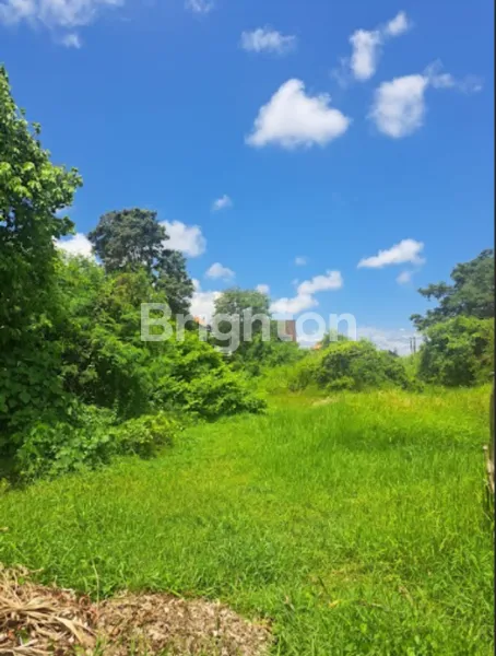 image TANAH PREMIUM 15.2 ARE DI GUNUNG CATUR DENPASAR BARAT ,BISA AMBIL SEBAGIAN (2)