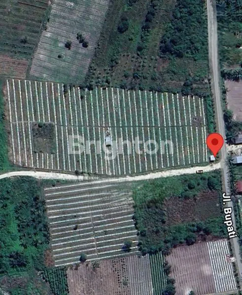 image DIJUAL LAHAN 1.5 HA DI JALAN BUPATI KUBANG (4)