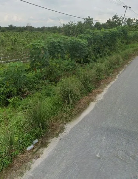 image DIJUAL LAHAN 1.5 HA DI JALAN BUPATI KUBANG (5)