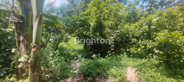 image DIJUAL TANAH DI MENGWI – LUKLUK, BADUNG (6)