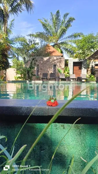 image VILLA MEWAH DI PAYANGAN, 9 KT & 10 KM, FULLY FURNISHED (1)