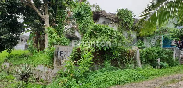 image DIJUAL TANAH STRATEGIS – TAMAN ADIYASA (2)