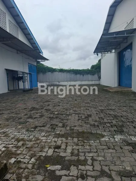 image DISEWAKAN GUDANG (2)