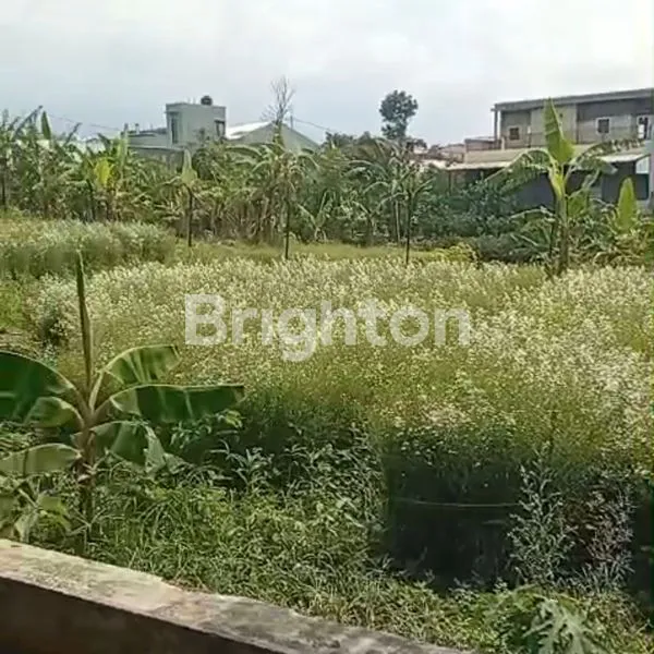 image VILLA & TANAH LUAS DI BATU (6)