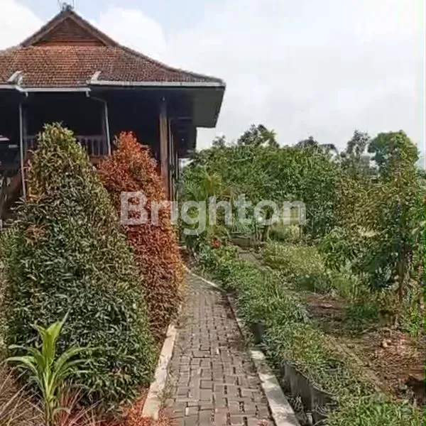 image VILLA & TANAH LUAS DI BATU (4)