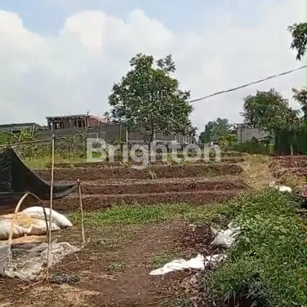 image VILLA & TANAH LUAS DI BATU (5)