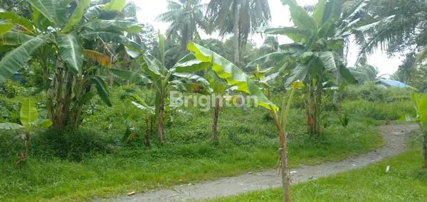 image LAHAN LUAS 2.413 M² DEKAT PALEMBANG – SIAP DIKEMBANGKAN (5)