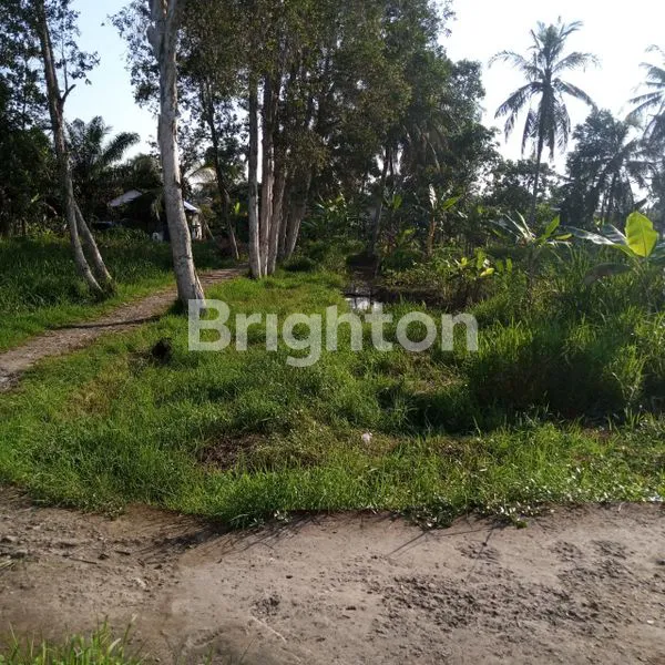 image LAHAN LUAS 2.413 M² DEKAT PALEMBANG – SIAP DIKEMBANGKAN (1)