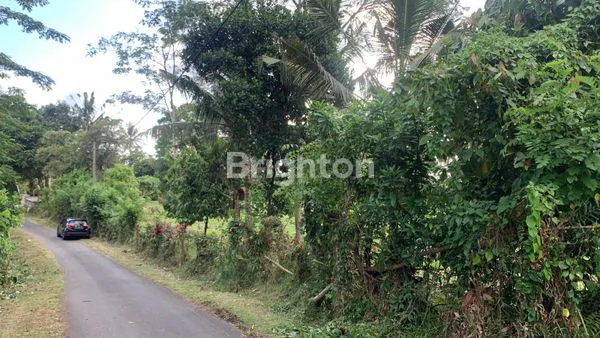 image  DIJUAL TANAH LUAS & STRATEGIS DI BANJAR TIREMAN– TABANAN, BALI (7)