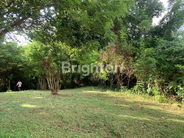 image  DIJUAL TANAH LUAS & STRATEGIS DI BANJAR TIREMAN– TABANAN, BALI (6)