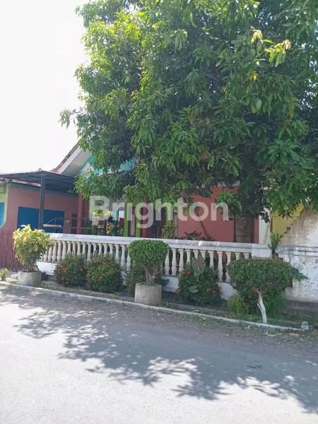 image DIJUAL RUMAH 0 NOL JALAN MUNCAR BANYUWANGI  (2)