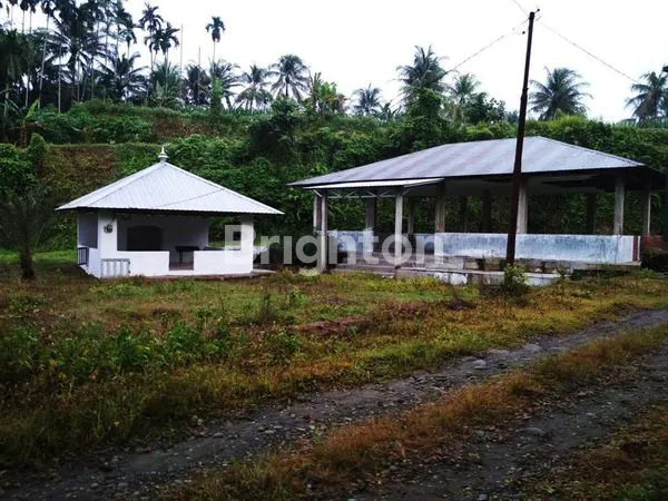 image LUAS 2 HEKTAR, HARGA 4,5 M ( NEGO ), LAHAN & KOLAM RENANG DI NAMORAMBE (5)