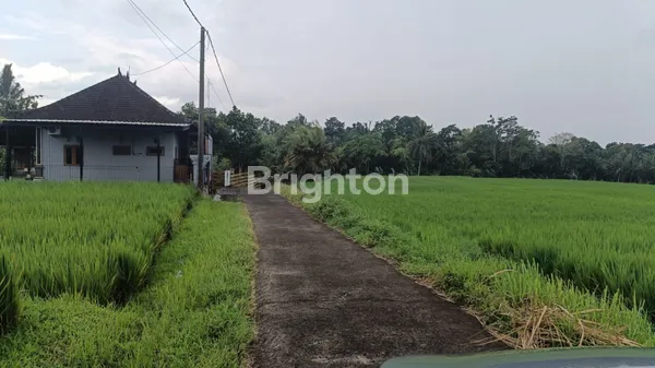 image LAHAN STRATEGIS RIANGGEDE – KAWASAN VARUNA JALA DEWA, DESA RIANGGEDE, PENEBEL, TABANAN (1)