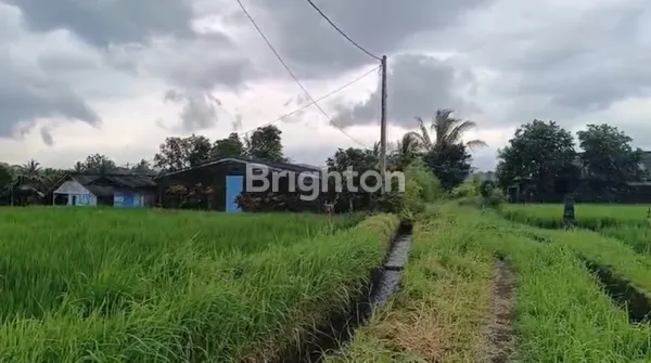 image LAHAN STRATEGIS RIANGGEDE – KAWASAN VARUNA JALA DEWA, DESA RIANGGEDE, PENEBEL, TABANAN (2)