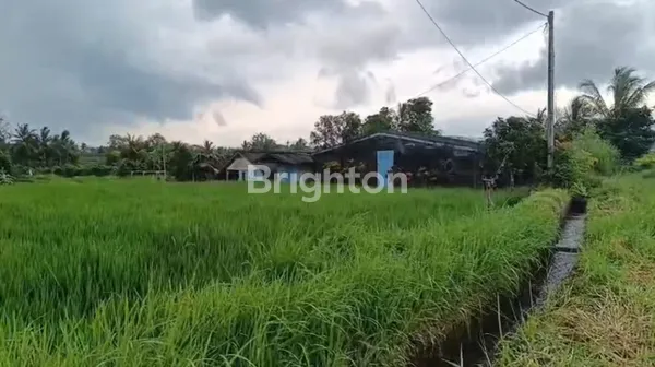 image LAHAN STRATEGIS RIANGGEDE – KAWASAN VARUNA JALA DEWA, DESA RIANGGEDE, PENEBEL, TABANAN (3)