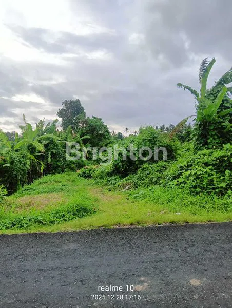 image DI JUAL CEPAT – TANAH STRATEGIS DI SEMPIDI, BADUNG  (1)