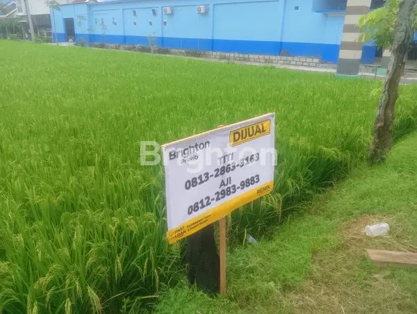 image LAHAN LUAS 2.170M², SHM, LOKASI STRATEGIS SUKOHARJO (3)