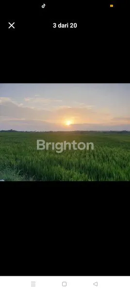 image VILLA NYAMAN VIEW LAUT, GUNUNG, SAWAH  (8)