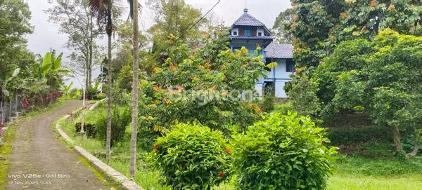 image DI JUAL LOJASI TRAWAS (1)