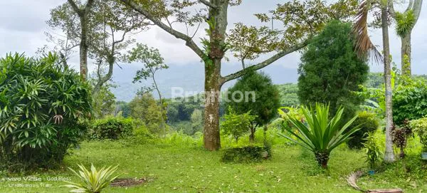 image DI JUAL LOJASI TRAWAS (2)