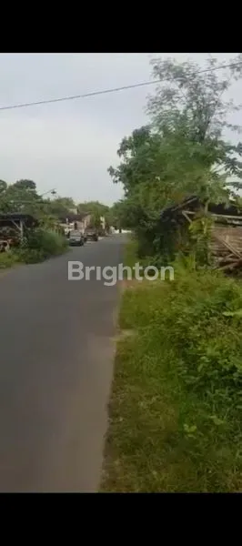 image LAHAN ZONA HIJAU 1300AN M² AREA BANYUDONO BOYOLALI (2)