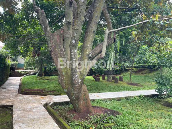 image TANAH LUAS BONUS RUMAH DI LENTENG AGUNG JAKARTA SELATAN  (7)