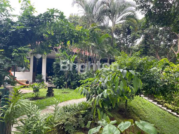 image TANAH LUAS BONUS RUMAH DI LENTENG AGUNG JAKARTA SELATAN  (2)