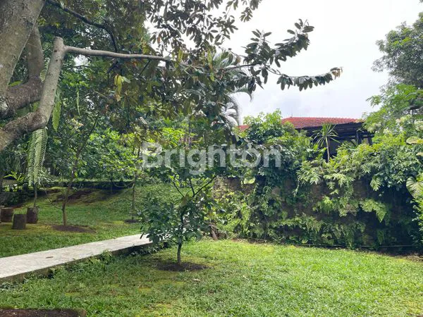 image TANAH LUAS BONUS RUMAH DI LENTENG AGUNG JAKARTA SELATAN  (8)