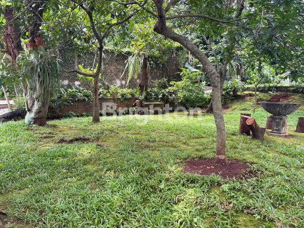 image TANAH LUAS BONUS RUMAH DI LENTENG AGUNG JAKARTA SELATAN  (5)