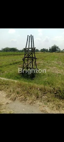 image LAHAN ZONA HIJAU 1900 M² AREA WONOSARI KLATEN (2)