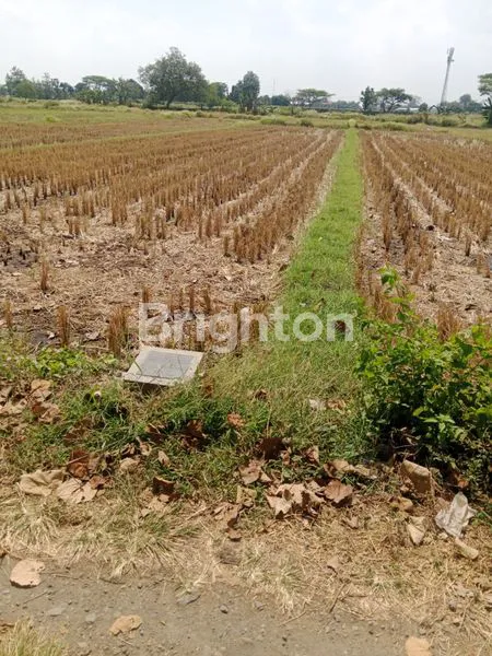 image LAHAN ZONA HIJAU 1900 M² AREA WONOSARI KLATEN (1)
