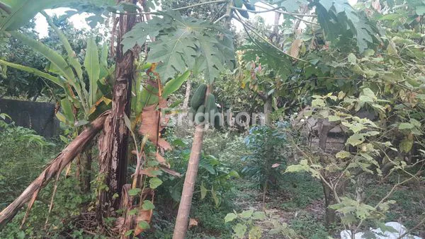 image TANAH STRATEGIS (6)