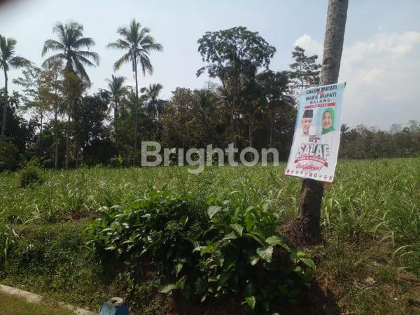 image DIJUAL TANAH COCOK BUAT PERUMAHAN DI BULULAWANG (5)