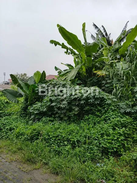 image DIJUAL TANAH SIAP BANGUN CIJANTUNG JAKARTA TIMUR SANGAT STRATEGIS DAN BEBAS BANJIR  (5)