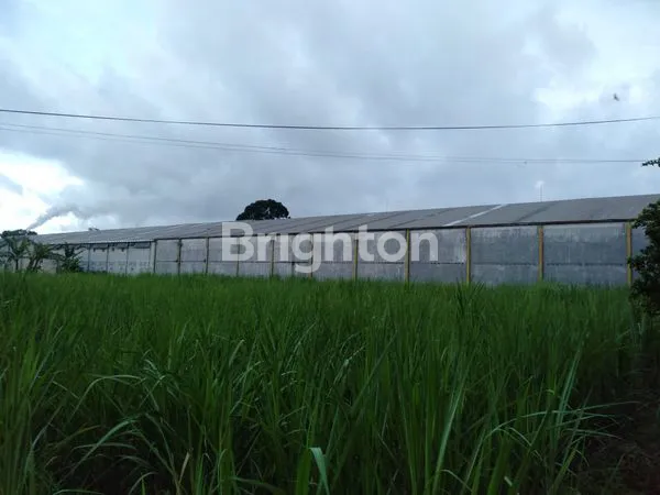 image PABRIK DI KRAJAN SIDODADI LAWANG MALANG (6)