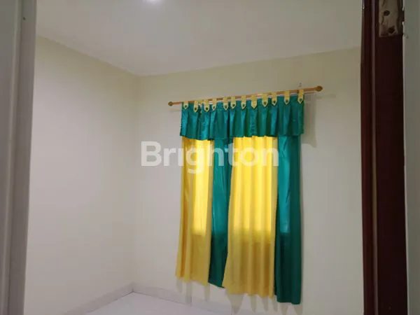 image GDC, CLUSTER VERBENA (3)