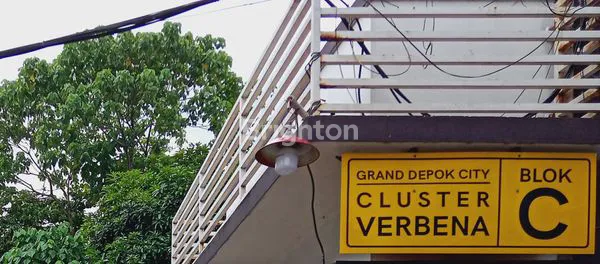 image GDC, CLUSTER VERBENA (7)