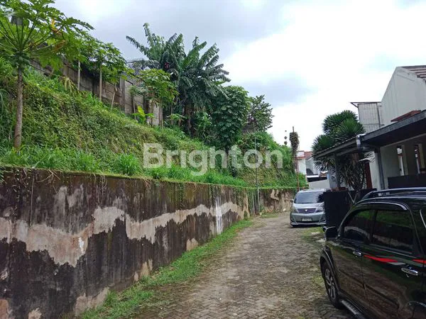 image GDC, CLUSTER VERBENA (6)