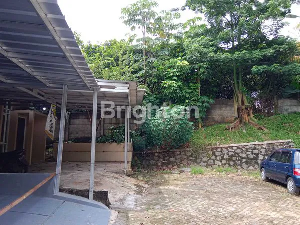 image GDC, CLUSTER VERBENA (5)