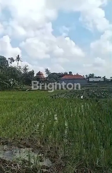 image TANAH KOSONG CEMAGI 300M² HANYA 2 MENIT KE PANTAI MENGENING CEMAGI (4)