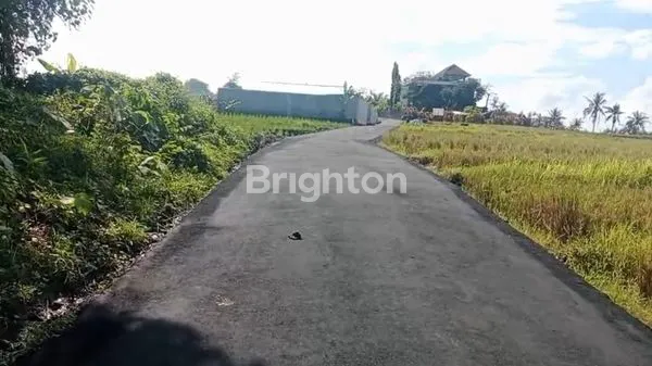 image TANAH KOSONG CEMAGI 300M² HANYA 2 MENIT KE PANTAI MENGENING CEMAGI (2)