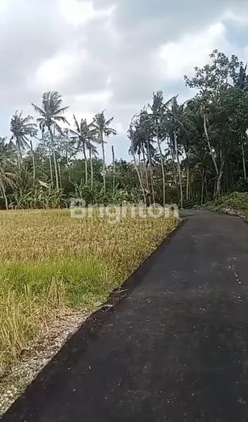 image TANAH KOSONG CEMAGI 300M² HANYA 2 MENIT KE PANTAI MENGENING CEMAGI (8)